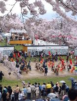 ''Human chess'' played under cherry blossoms